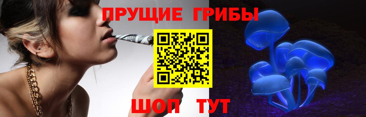 Псилоцибиновые грибы GOLDEN TEACHER  Галлюциногенные грибы Cubensis  Вход с VPN  Щёлково 